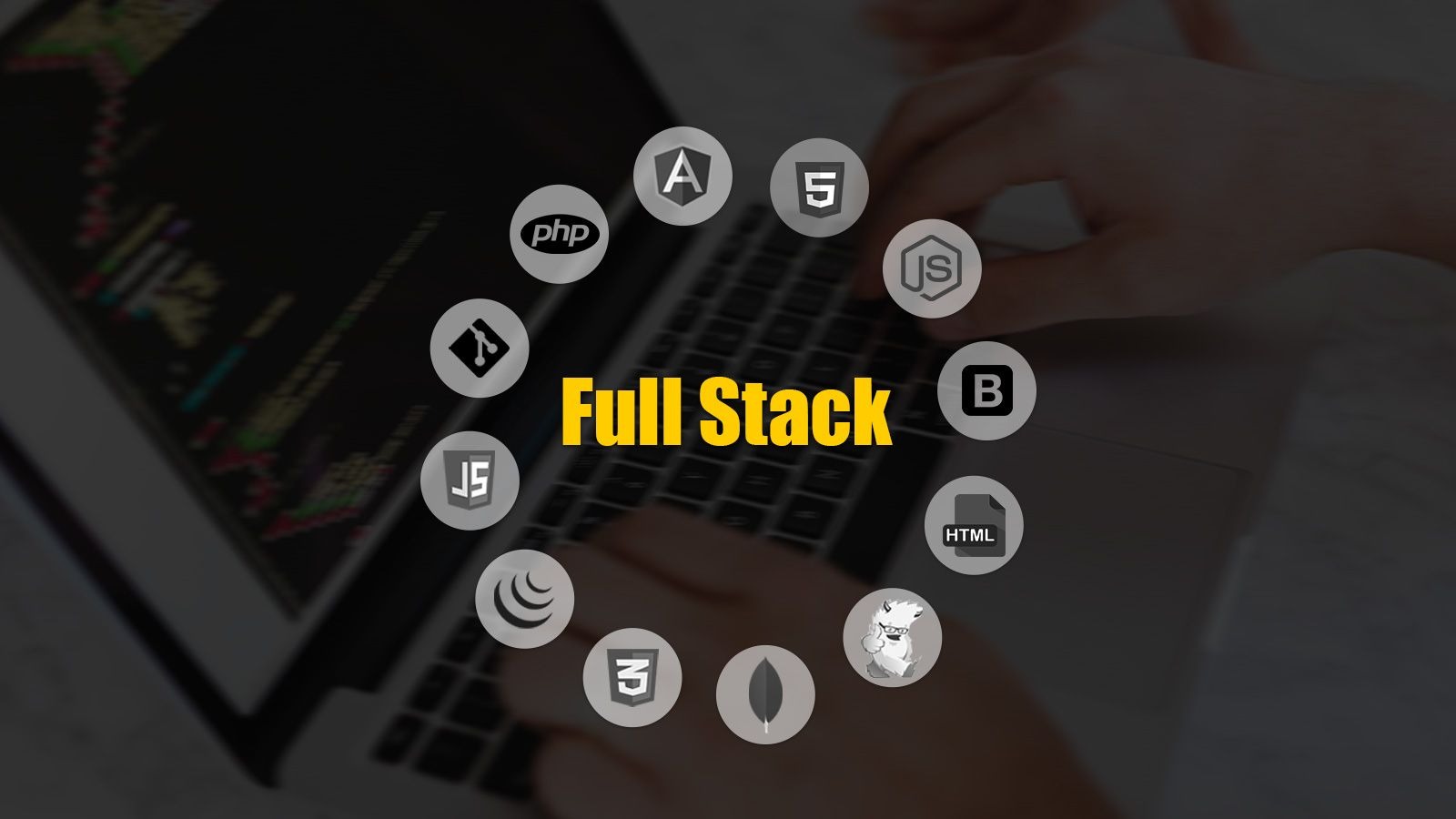 Full Stack training